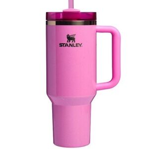 Stanley x Wicked